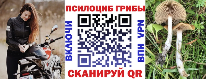 Псилоцибиновые грибы мицелий  где купить   Емва 